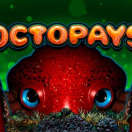 Octopays